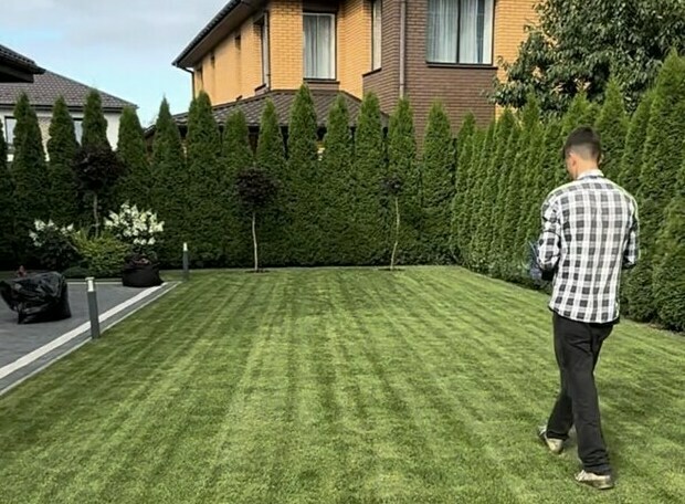 Топиарная стрижка растений